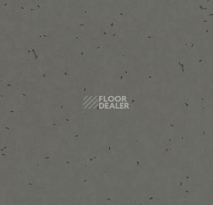 Линолеум Forbo Sphera Energetic 50215 ebony фото 1 | FLOORDEALER